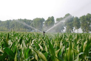 农业灌溉喷灌