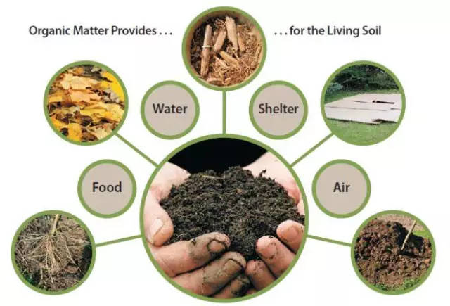 土壤有机质增加1%,每亩要用多少有机肥?今天我们来算一算